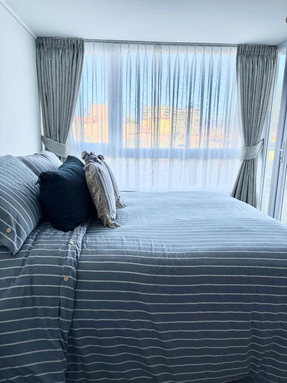 Comfortable apartment in Laguna del Mar - 5