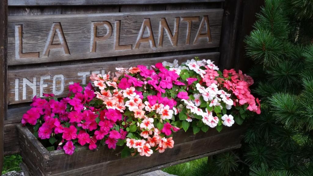 Residence La Planta - 5