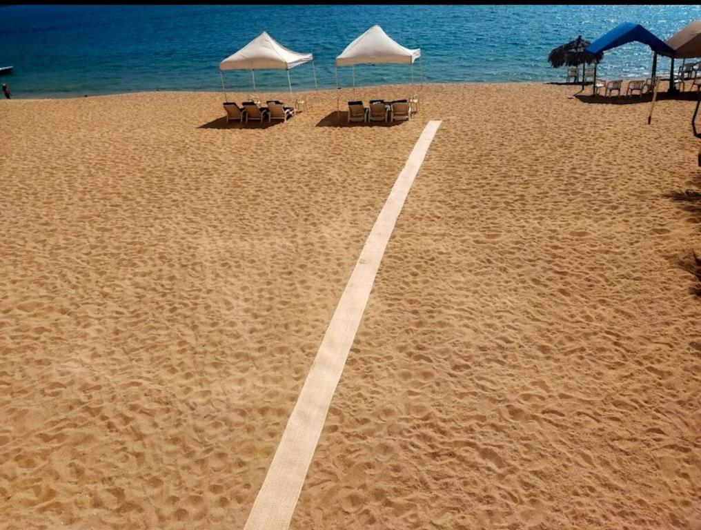 Renta de Depto, Acapulco Gro, Torre Palladio - 2