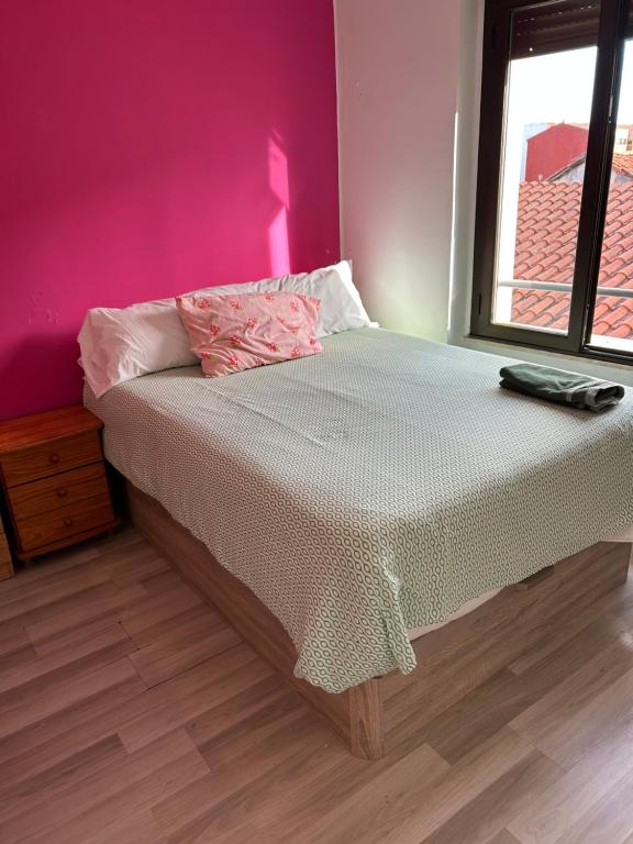 Vivienda rosa barrio húmedo - 5