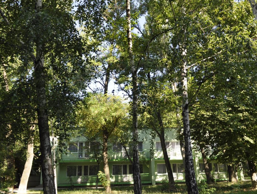 Omgivelser