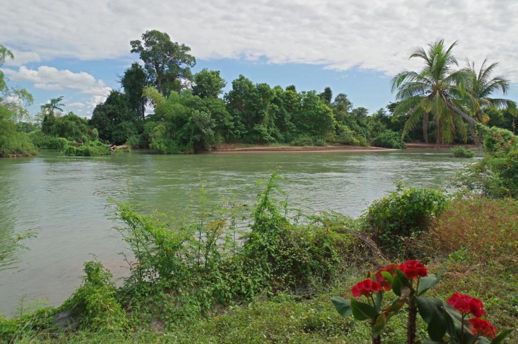 Surrounding environment