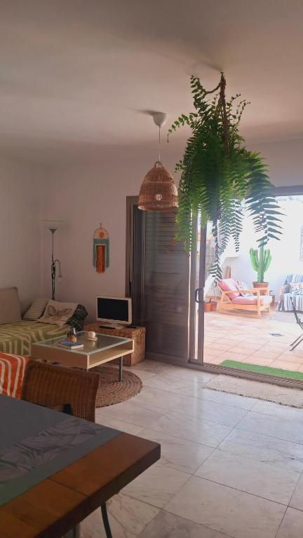 Casa Cactus - 4