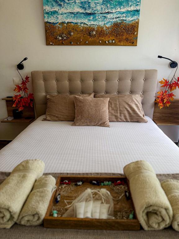 Bohemian Rhapsody, Pafos