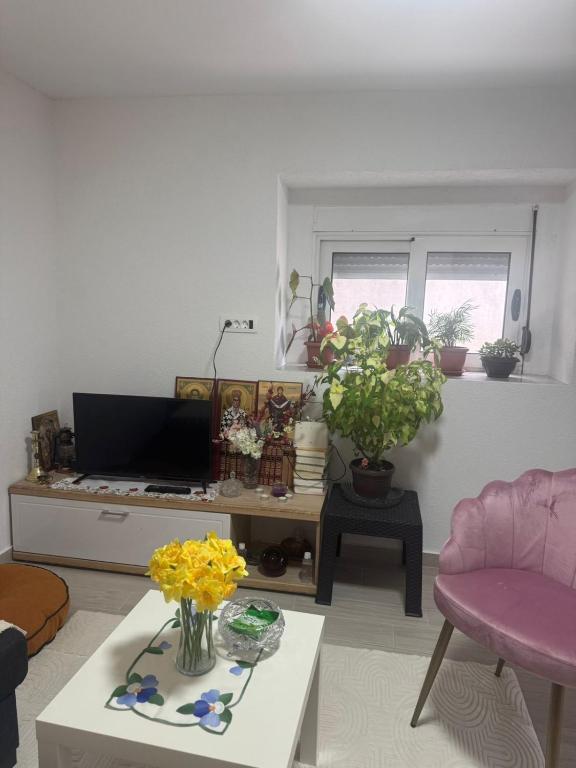 Apartman Ljubica - 5
