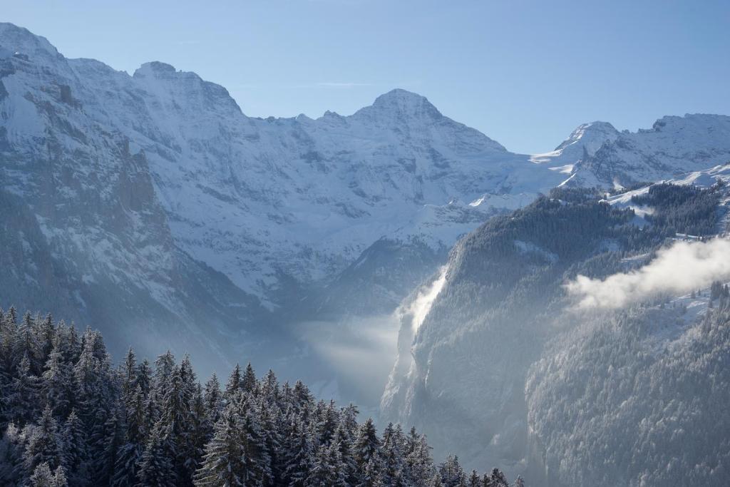 Cozy Chalet in Wengen with best views - 3