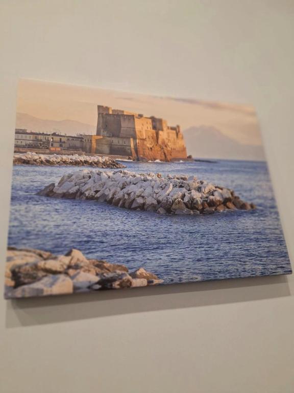 La Rosa di Napoli - 5