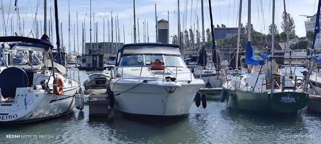 Marina Yatch Hostel, Lisbona