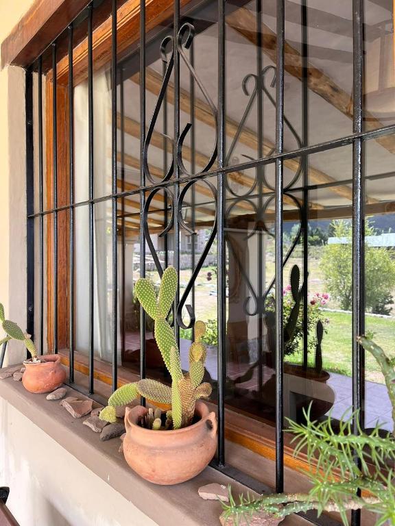Casa Vida - 3