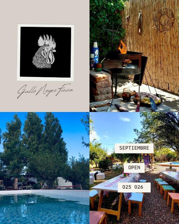 GalloNegro, San Juan