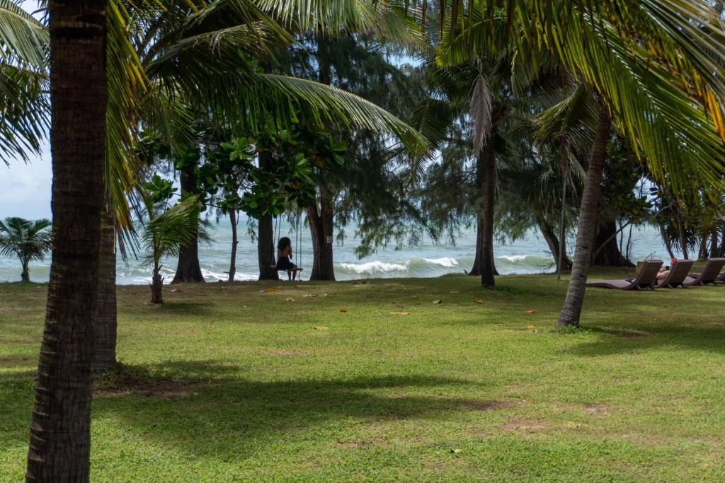 Surrounding environment