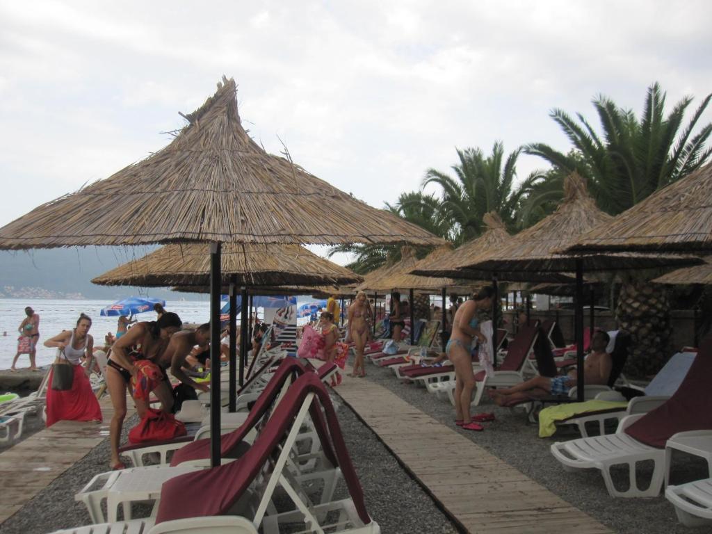 Apartments Delfin photo