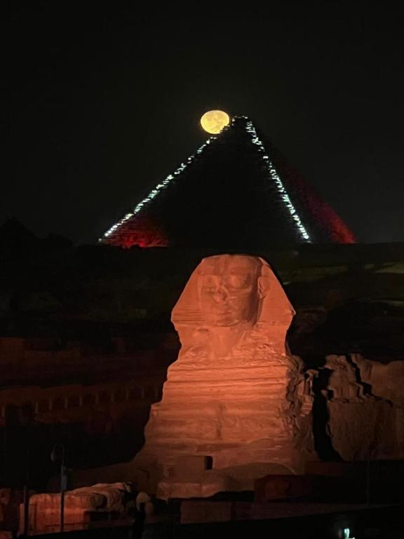 Surrounding environment