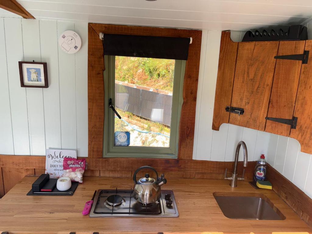 Berwyn Shepherds Hut photo 3