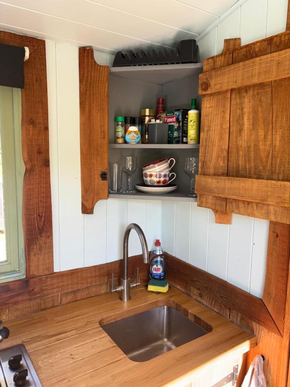 Berwyn Shepherds Hut photo 4