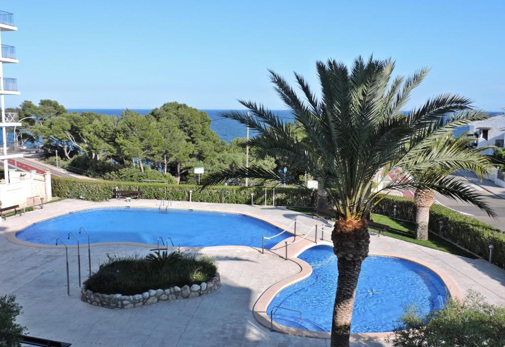 Lcd - Mimosas, Miami Platja