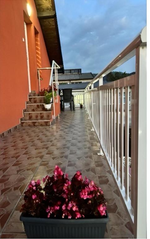 Sanlej Apartman - 3