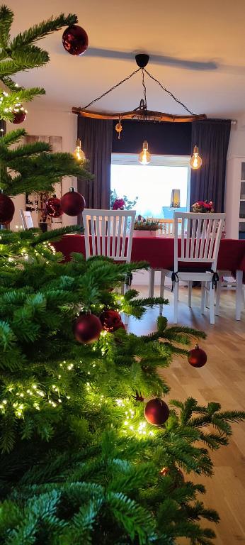 Boende i Målaskog, near the lake, boat, big garden, Ryssby