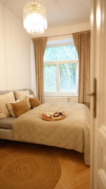 Apartmán v srdci Olomouce, Olomouc