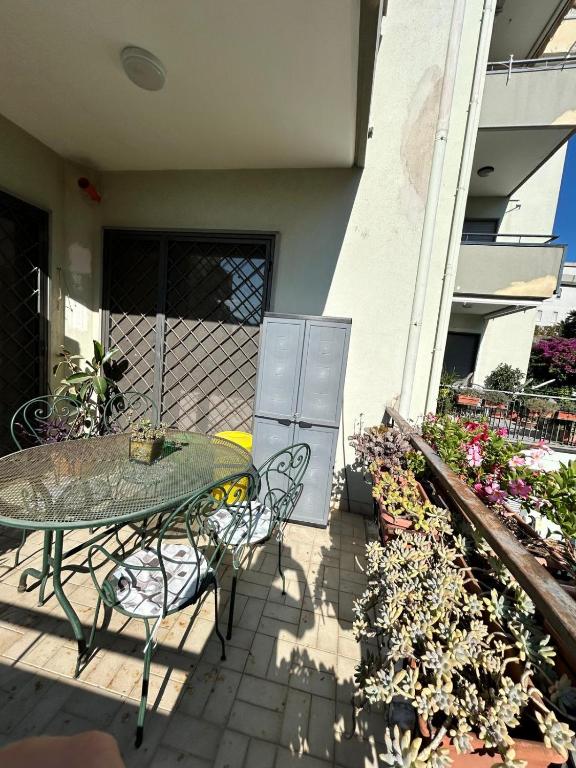 la gerbera - 2