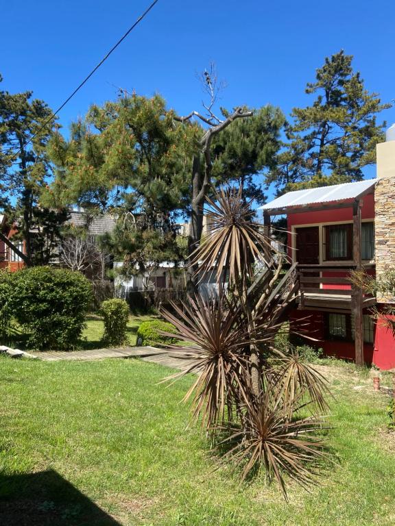 Mirando al Mar I - 1