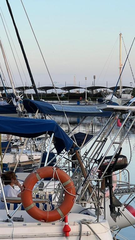Unique Experience in Sailboat! In The 4 Seasons!! B shi - 3