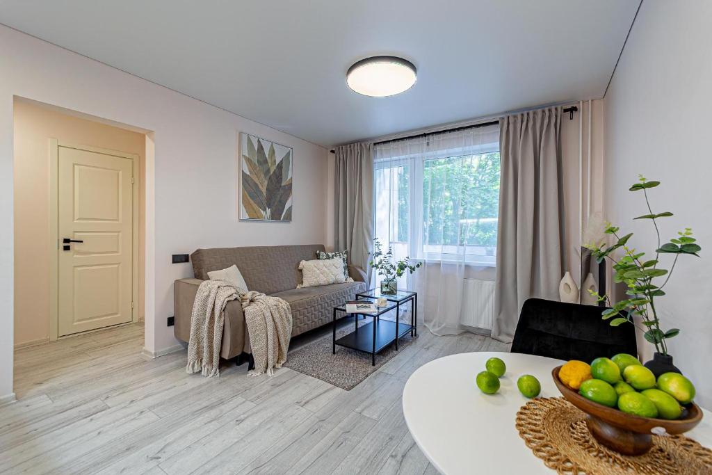 Pailsėk Rasytės oazėje, Kaune, Kaunas