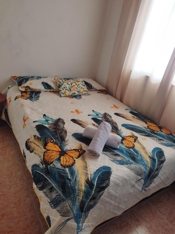 Apartamento sarah - 5