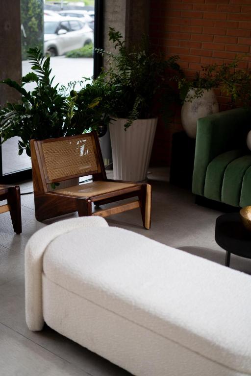 Suite con Cama King y Queen, Wi-Fi Rápido y Amenidades Top - 2