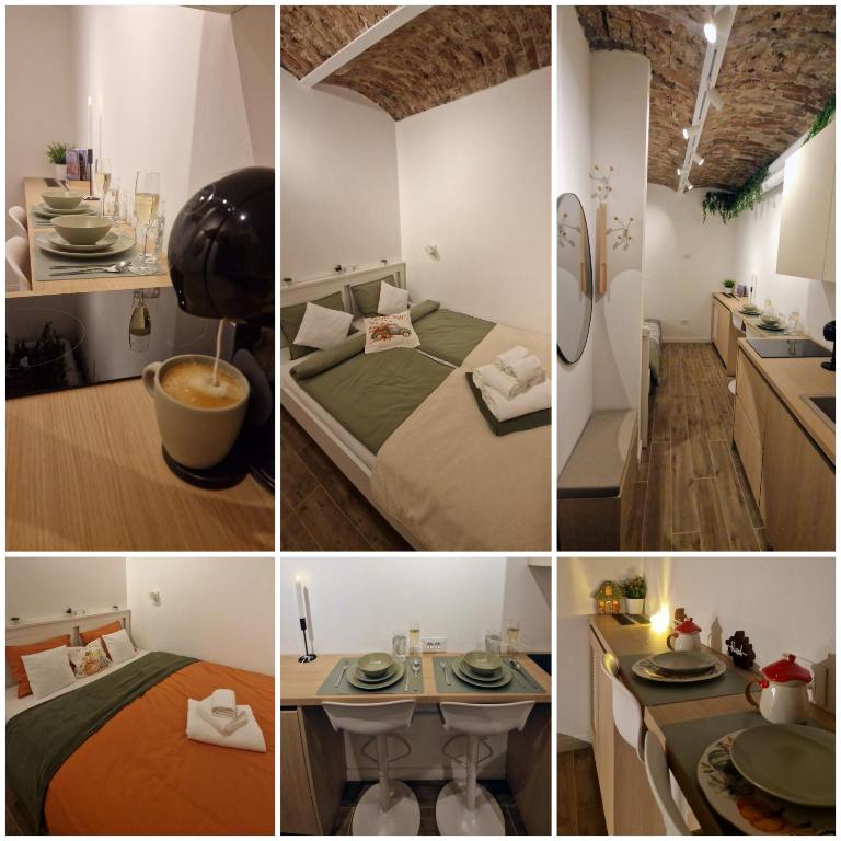 Petit Central Studio, Kluž