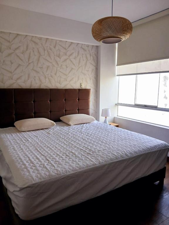 Duplex Premium Cayma Céntrico - 5