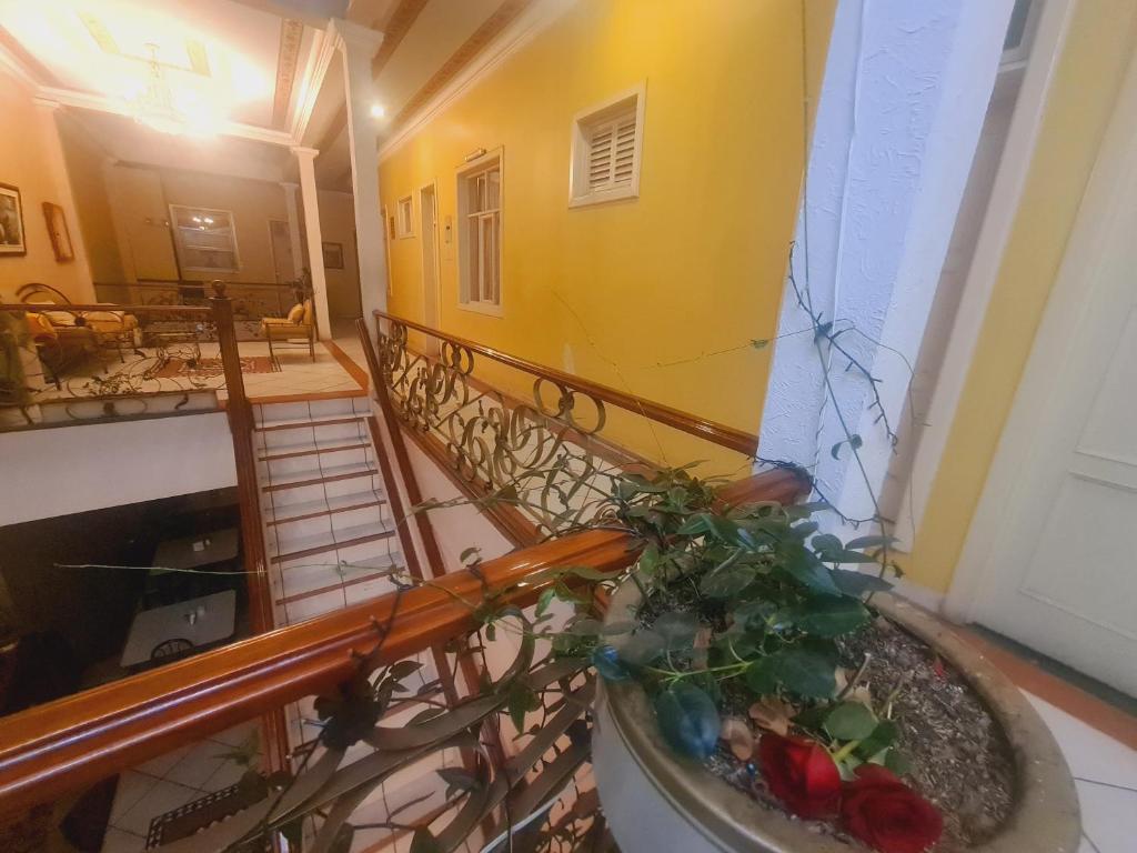 Hotel Luis cordero - 5