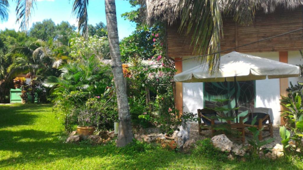 Studio surrounded by nature, Cabarete