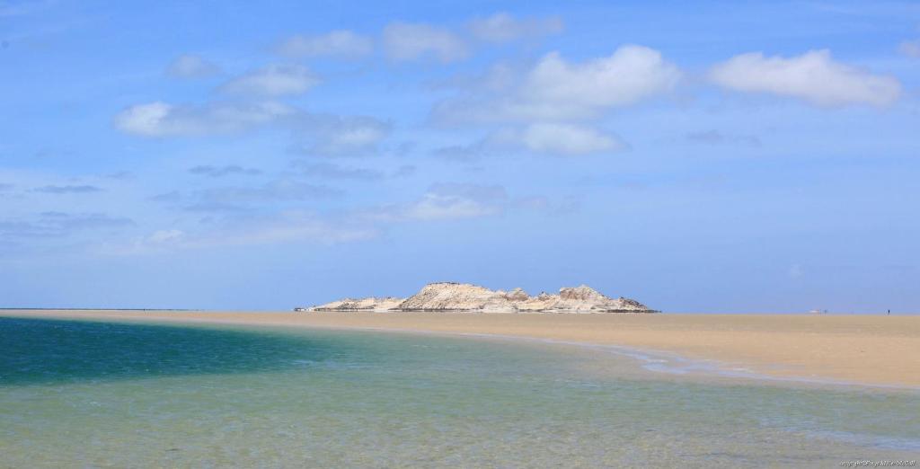 Surrounding environment