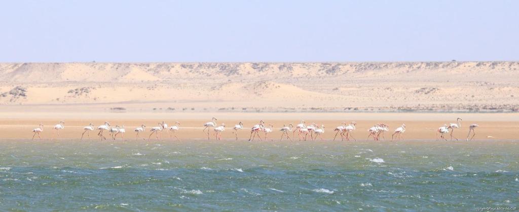 Surrounding environment