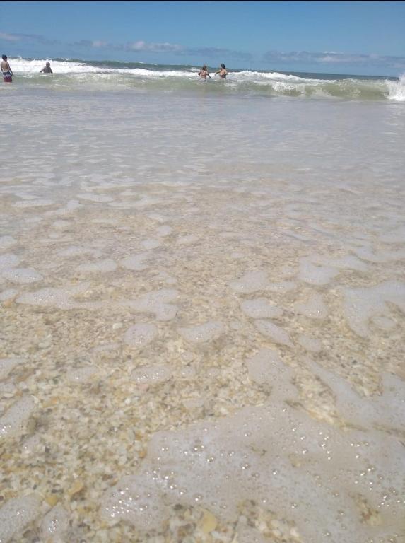 Mirador del bosque - 4