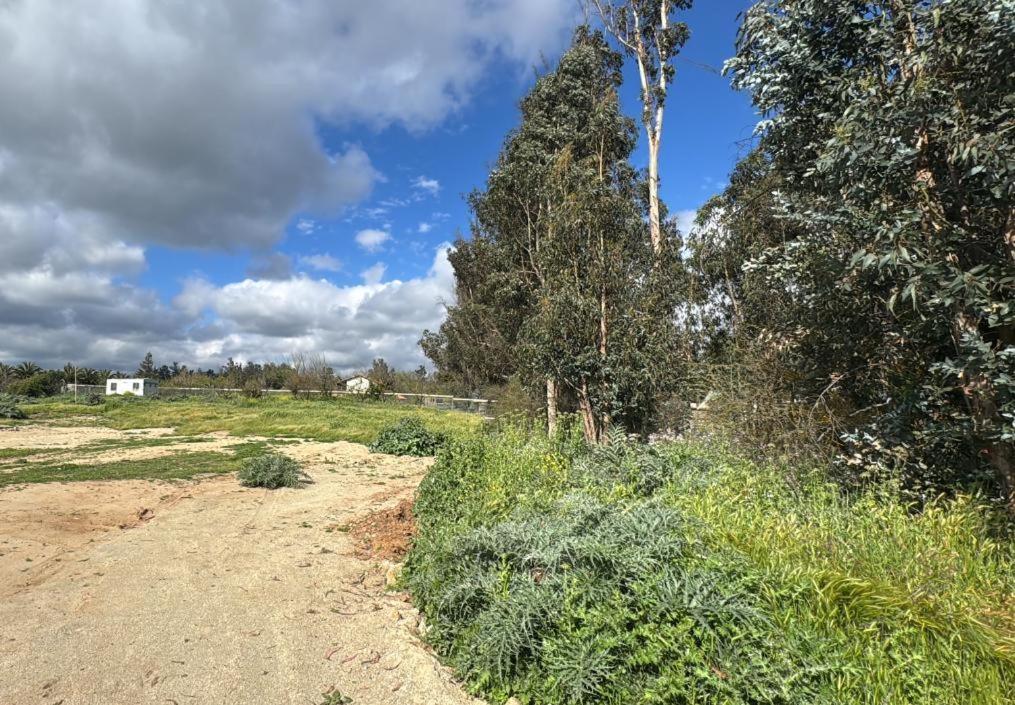 Alojamiento cabañas en Casablanca - 4