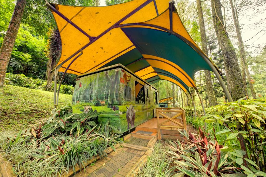 Surrounding environment