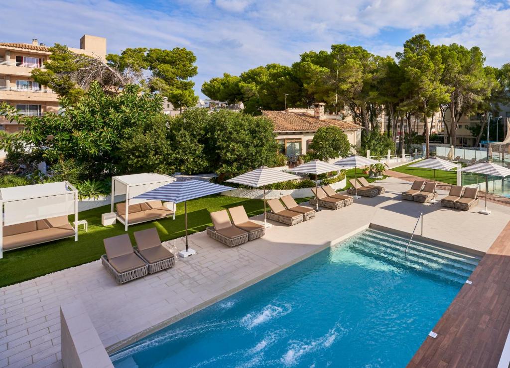 Flacalco Hotel & Apartments — Swimming pool in Cala Ratjada, Balearic Islands