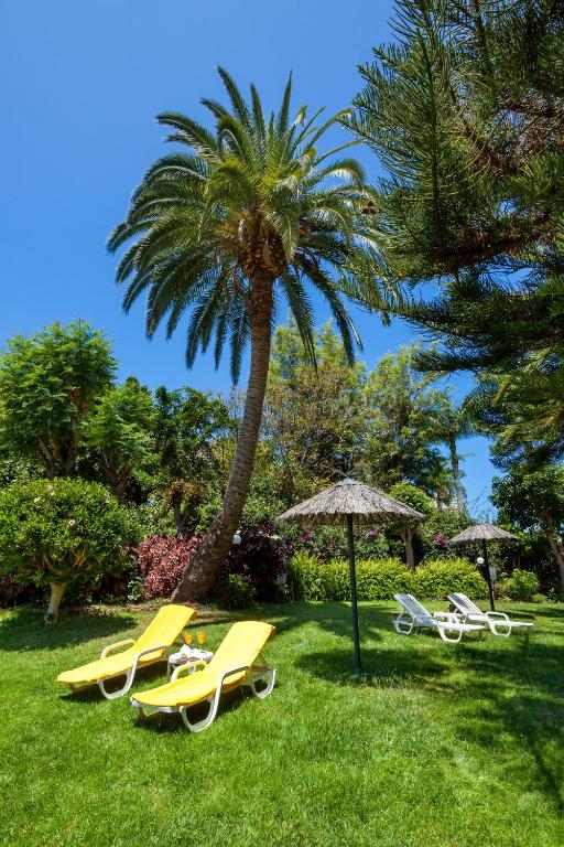 Apartamentos Masaru — Sports & recreation in Puerto de la Cruz, Canary Islands