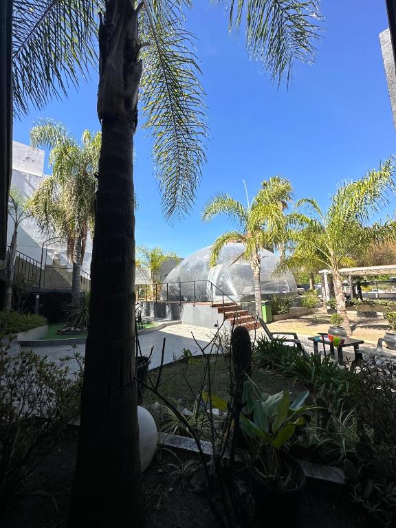 Hotel Posada del Ángel - 3