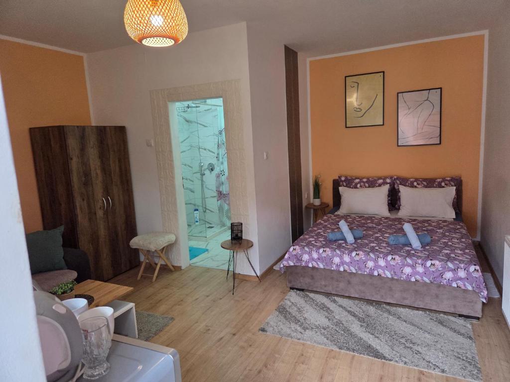 Zen apartman 7, Zrenjanin
