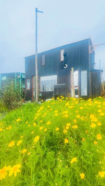 tiny house frente al mar - 3