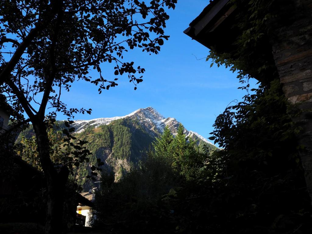 Courmayeur Cozy Nest - 1