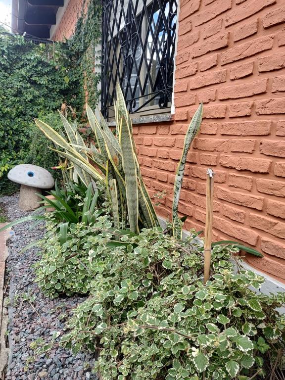 Noah House Ezeiza - 5