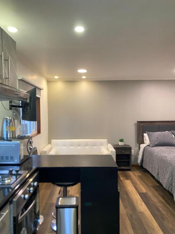 PEWMA Departamento - 2