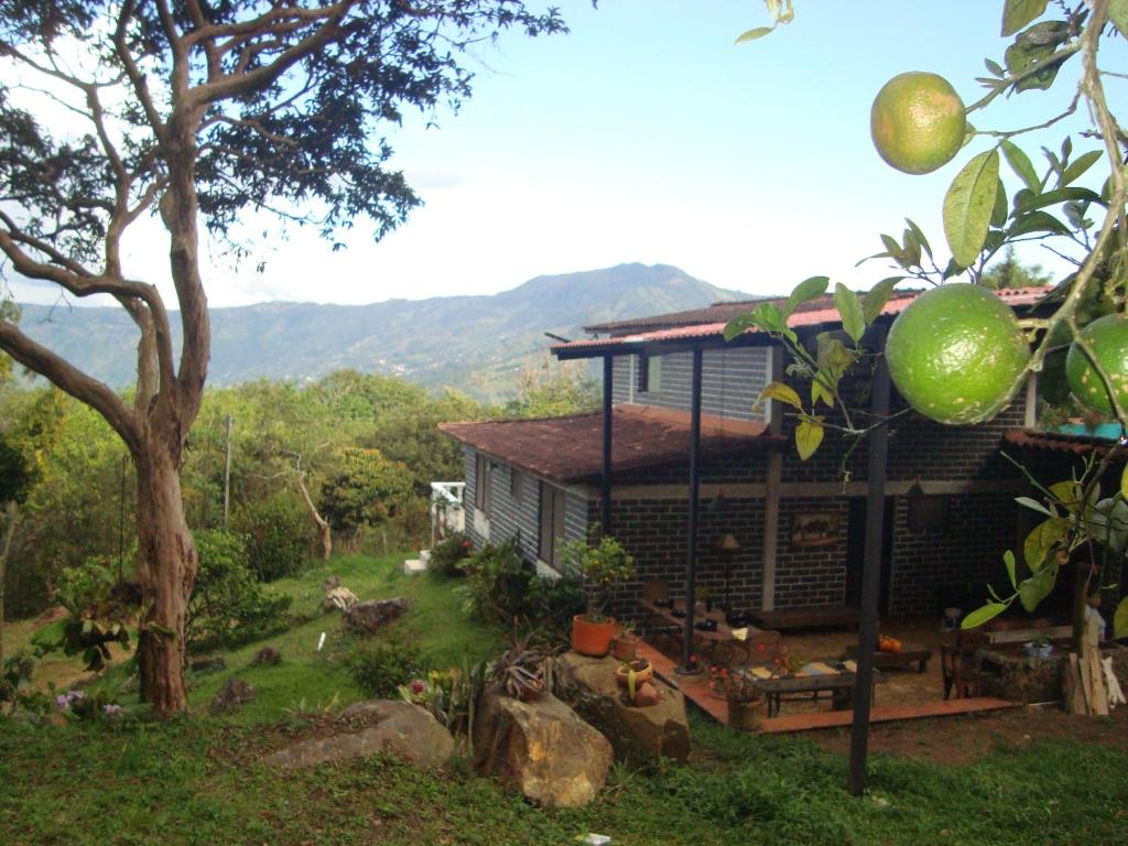 mountain house Mangalobby - 5