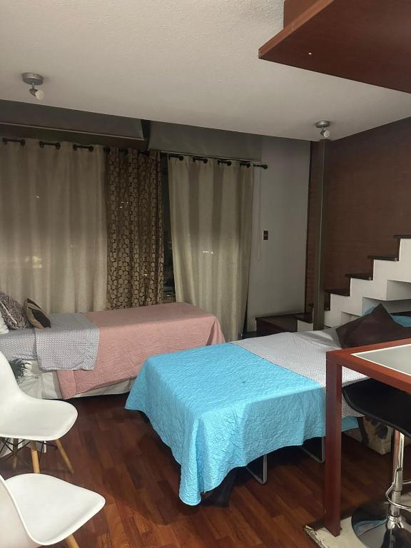 Loft Rousse Travel - 4