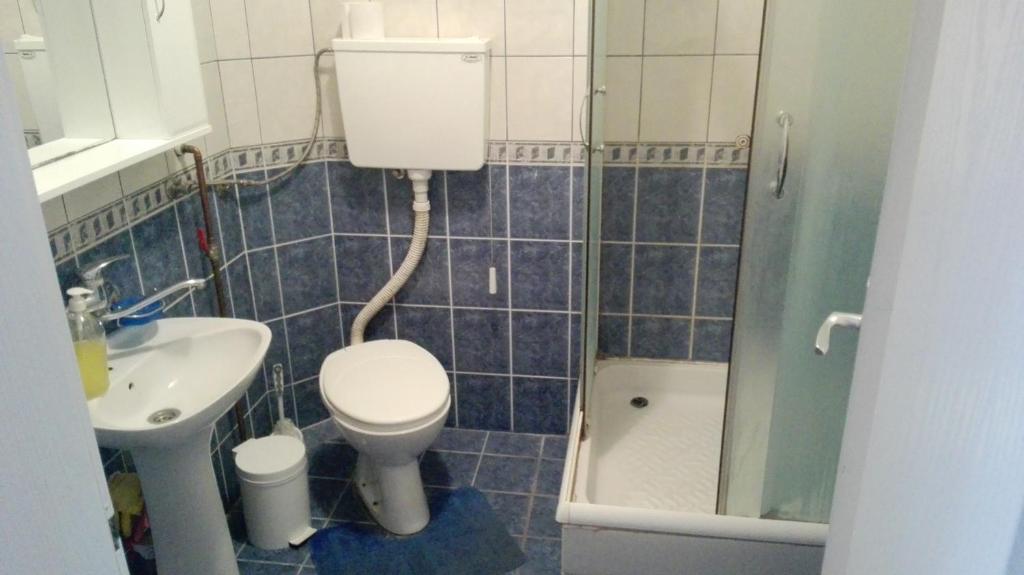 Guest House Trajkovic Jagodina - 4