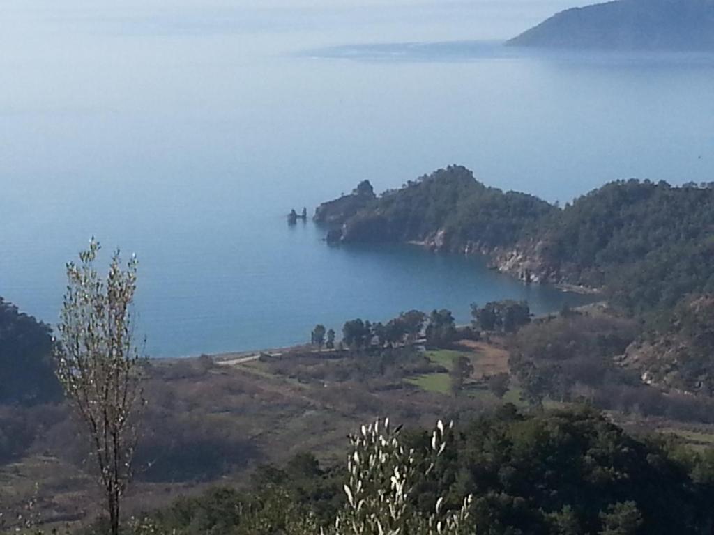Güntur Otel photo
